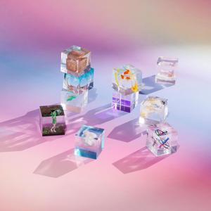 SSL创业小蛇导航
