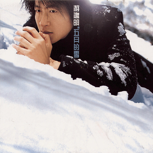 SSL创业小蛇导航
