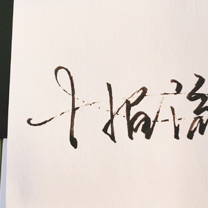 SSL创业小蛇导航
